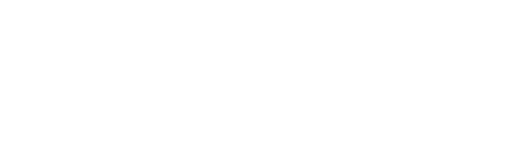 ENDOVEIN